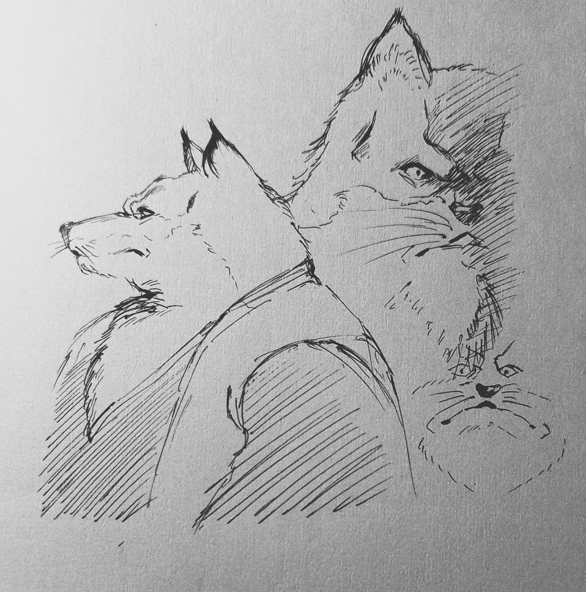 halenfan84's tweet photo. Quick pen sketches https://t.co/2CvIGXKT2F