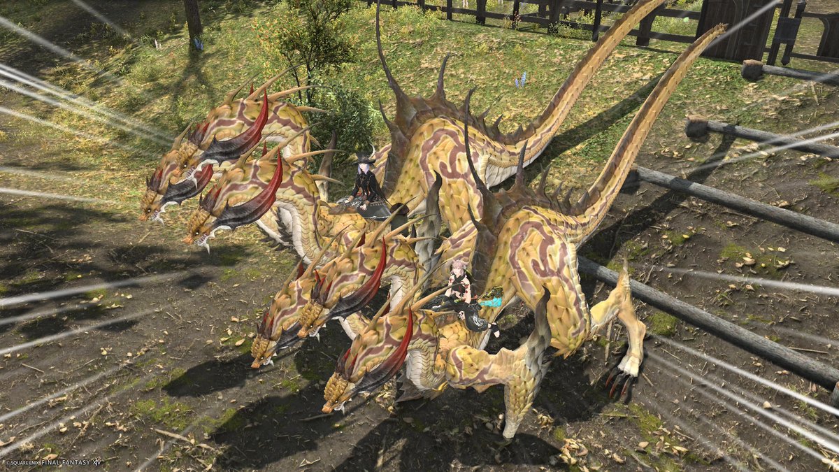 ruriirocafe's tweet photo. フレさんが手伝ってくれて、魔獣使いレベル50になって今日だけで50の魔獣全部揃った〜！！感謝！！！ https://t.co/OrutC6v4t3