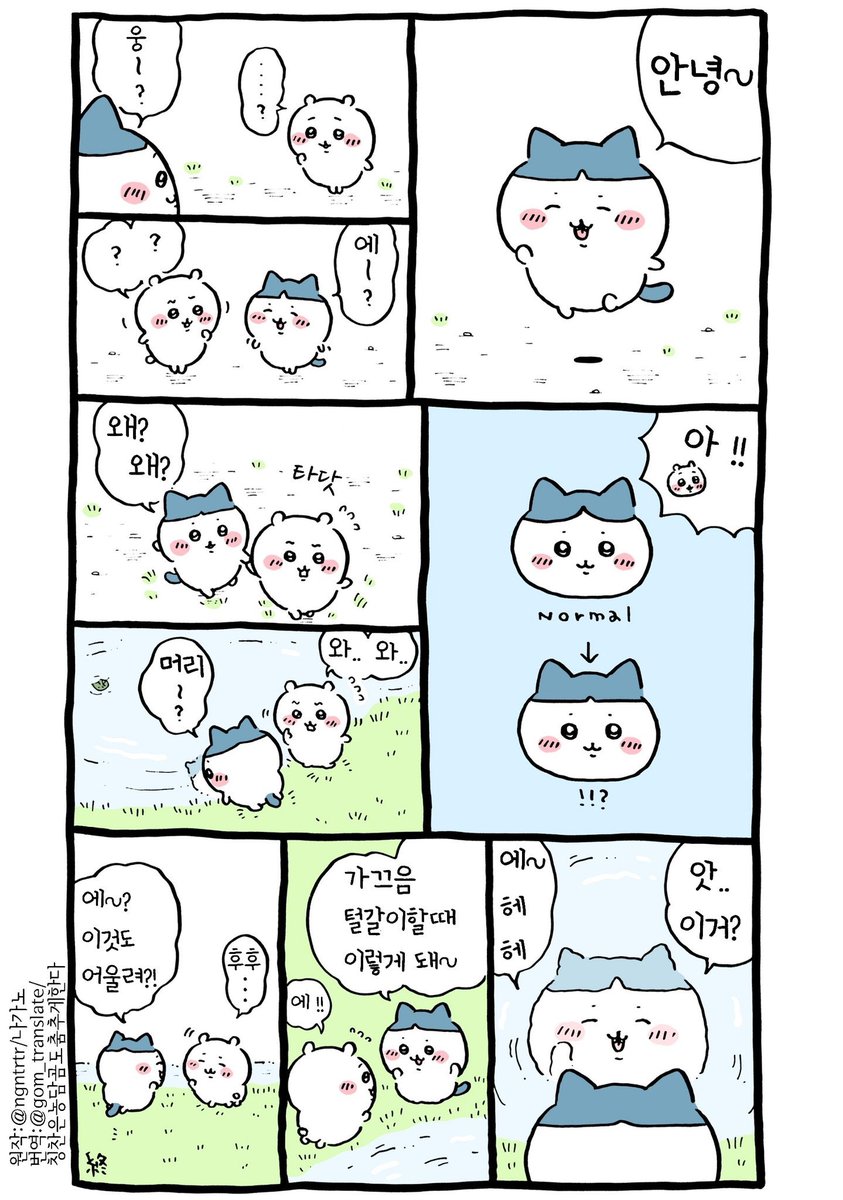 tjsxorl's tweet photo. 가끄음 털갈이할때 이렇게 돼~ https://t.co/FgPszsvAng