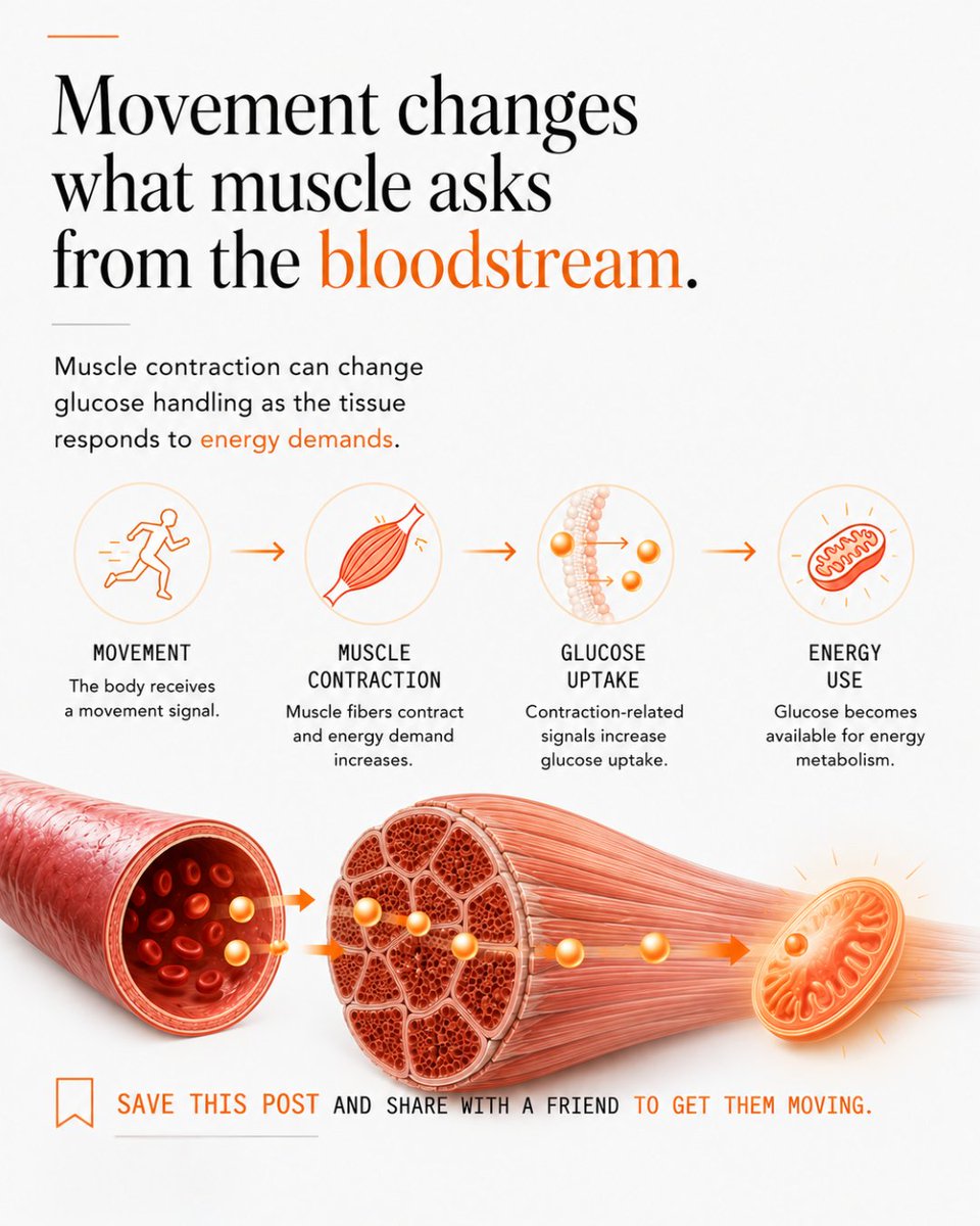 OmniaHealthS's tweet photo. 5/5 

Movement changes what muscle asks from the bloodstream.

That is part of what makes a contraction a metabolic event.

Save this thread and share it with a friend to get them moving. https://t.co/SJNMnGP6eI