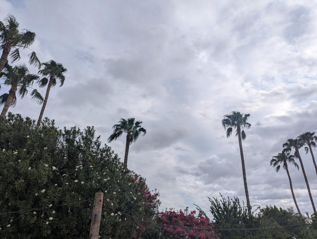 Bryanne's tweet photo. Talking to the void...
I love the smell of rain in general, but when I walk outside first thing in the morning holding a freshly made cup of coffee, aww. It's hard to beat those combined smells. 
My morning void conversations remind me of the movie "You've Got Mail". ☕️☁️💌💚 https://t.co/OeoN5XN4gW