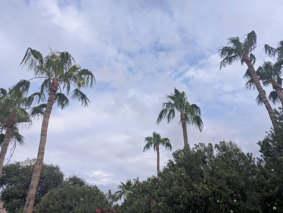 Bryanne's tweet photo. Talking to the void...
I love the smell of rain in general, but when I walk outside first thing in the morning holding a freshly made cup of coffee, aww. It's hard to beat those combined smells. 
My morning void conversations remind me of the movie "You've Got Mail". ☕️☁️💌💚 https://t.co/OeoN5XN4gW