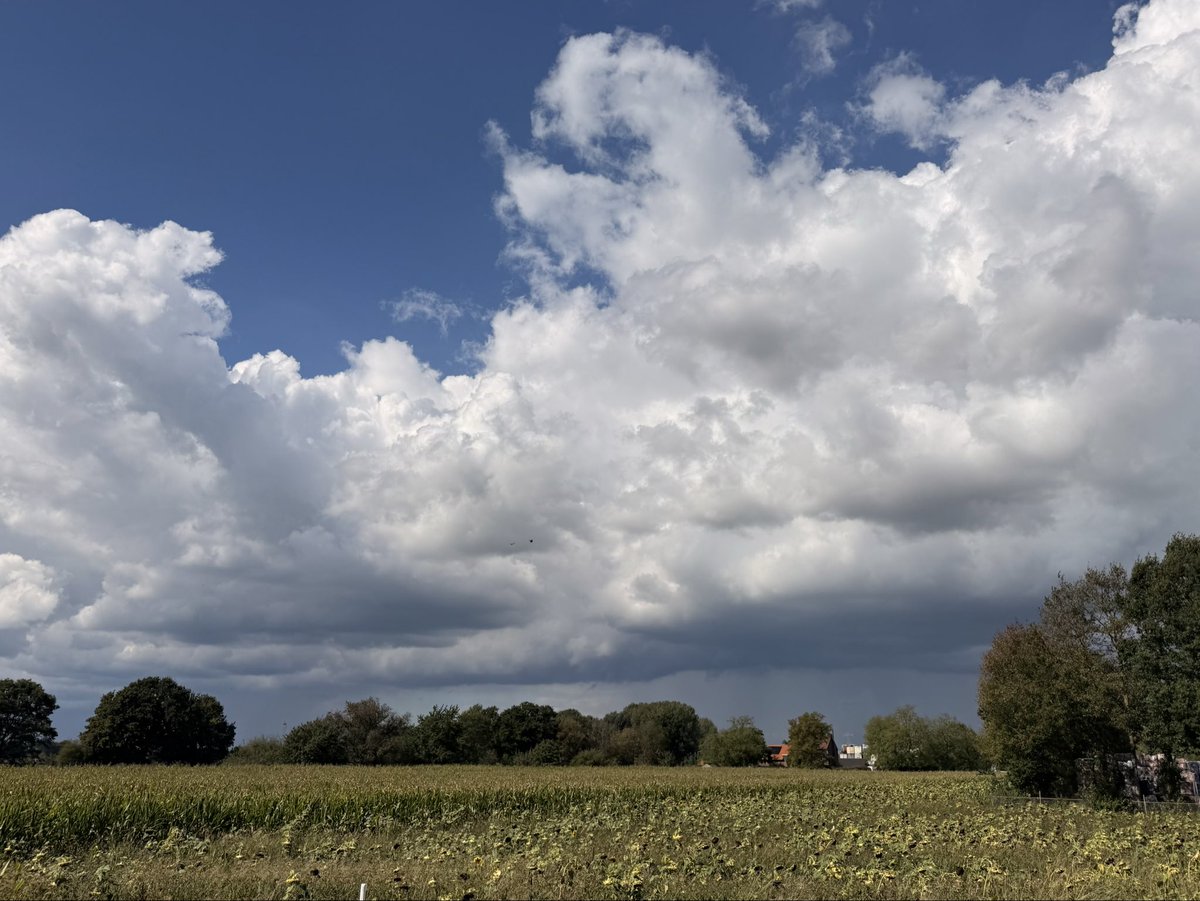 ci31pet's tweet photo. Een dag van uitersten. Zon, regen en onweer. 

Fijne avond ☁️🌧️☀️🥰
#goedeavond #gojeaovend https://t.co/yJP86b19LU
