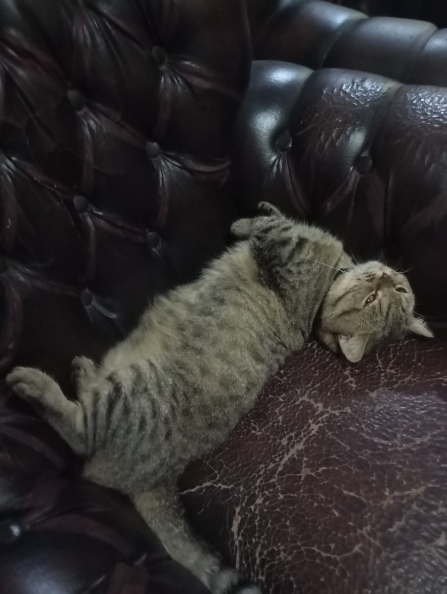 AmiRandaaaa's tweet photo. Kakek nya nih https://t.co/ctBTRv0VHm