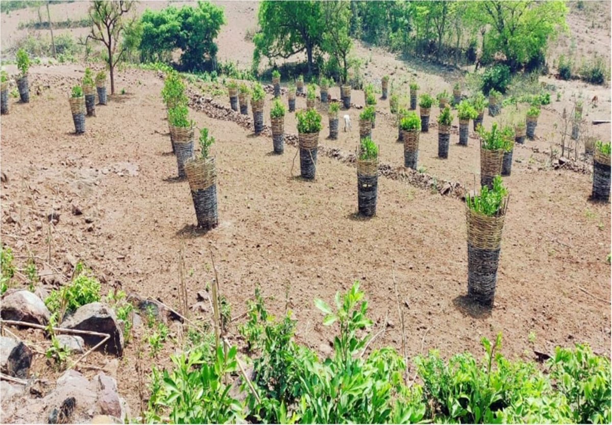 Telugu360's tweet photo. AP Dy CM Pawan Kalyan gets ready for Palle Panduga 3.0

Here’s what the first two phases delivered, in numbers:

• 9,600 km CC roads constructed
• 10,000 km BT roads taken up
• 2,310 km roads under Adavi Thalli Bata
• 1,000+ km tribal roads completed
• ₹2,078 crore for Adavi Thalli Bata
• 1.15 lakh farm ponds
• 2 lakh acres of fruit plantations
• 38,000+ mini Gokulams
• 15,000 cattle water troughs
• 54 km Magic Drains
• 205 km roads connecting 100+ temples at ₹120 crore