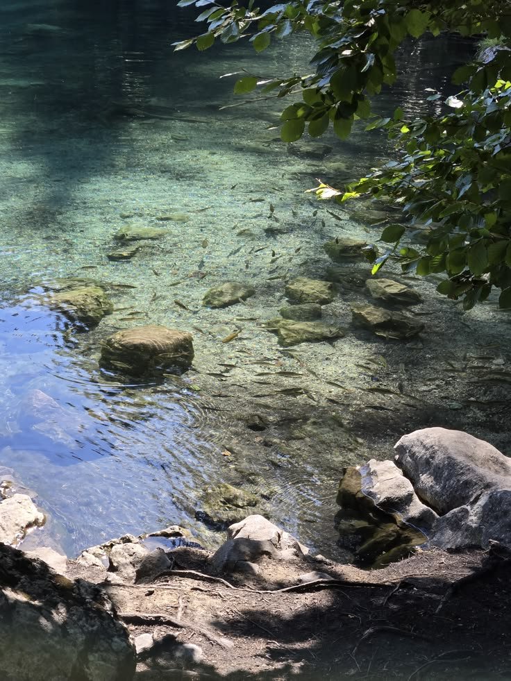 elemmiressoul's tweet photo. lovely nature. https://t.co/Irhj24fWJw