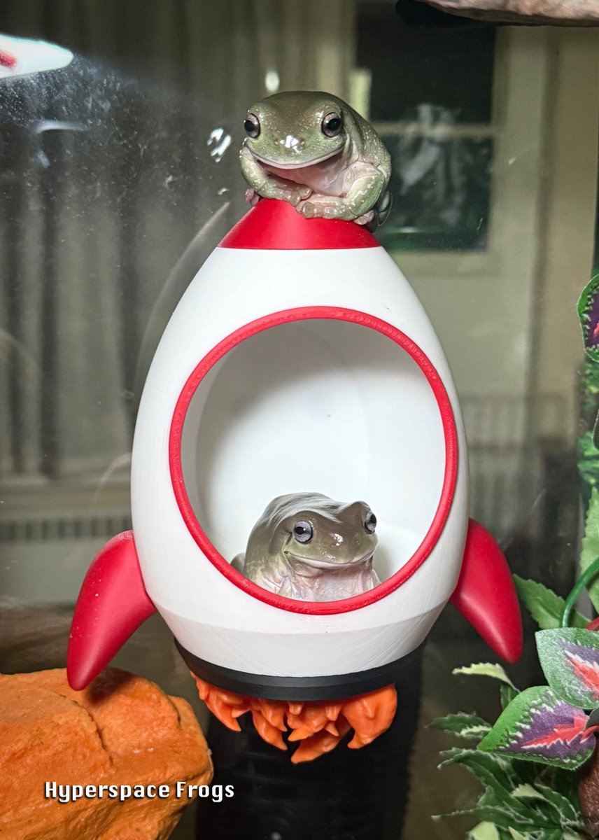 HyperspaceFrogs's tweet photo. Hollus and Rodney are on a very important mission and require a massive resupply of nummies. https://t.co/Nity5SkKTS