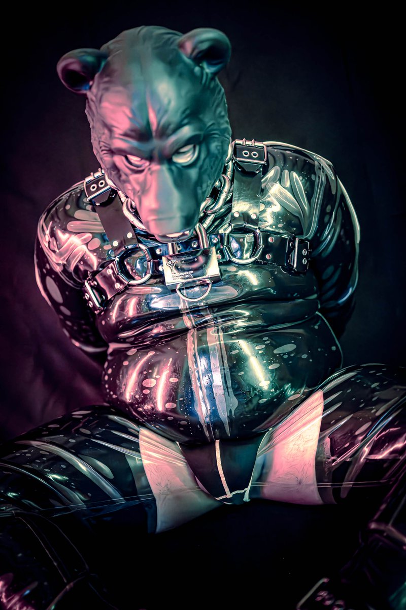 RTFM_Str's tweet photo. Paws behind back. Sweating profusely, not because im nervous of course... or maybe i am?

Image by Pup Grizz (bsky) https://t.co/k9024DQ5sY