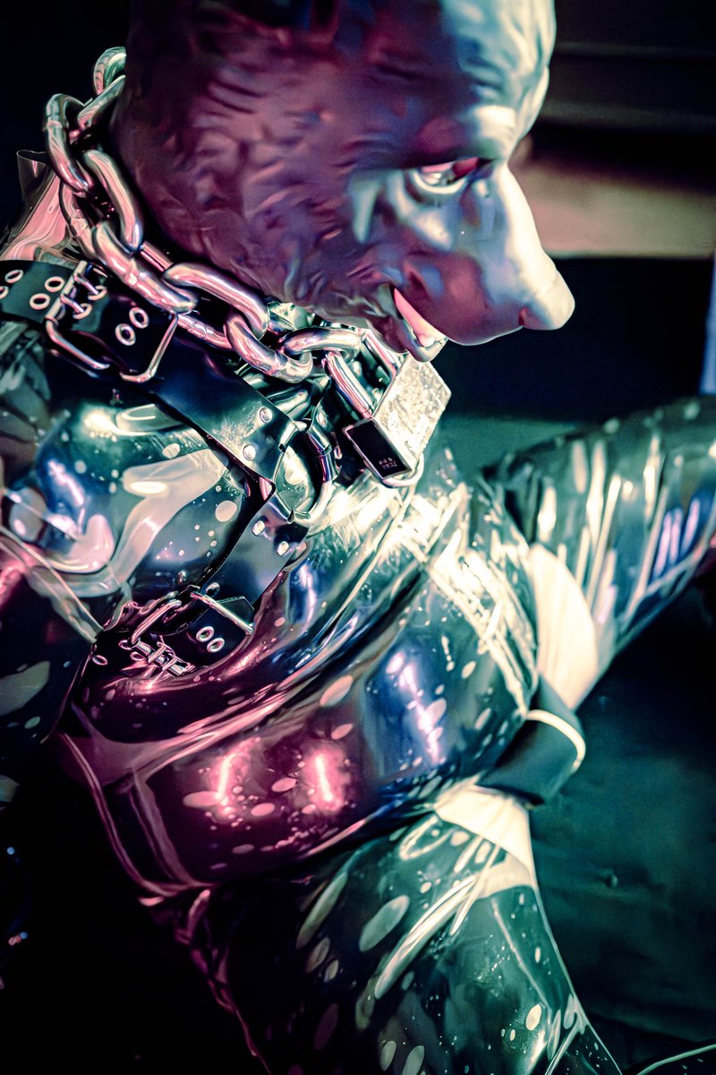 RTFM_Str's tweet photo. Paws behind back. Sweating profusely, not because im nervous of course... or maybe i am?

Image by Pup Grizz (bsky) https://t.co/k9024DQ5sY