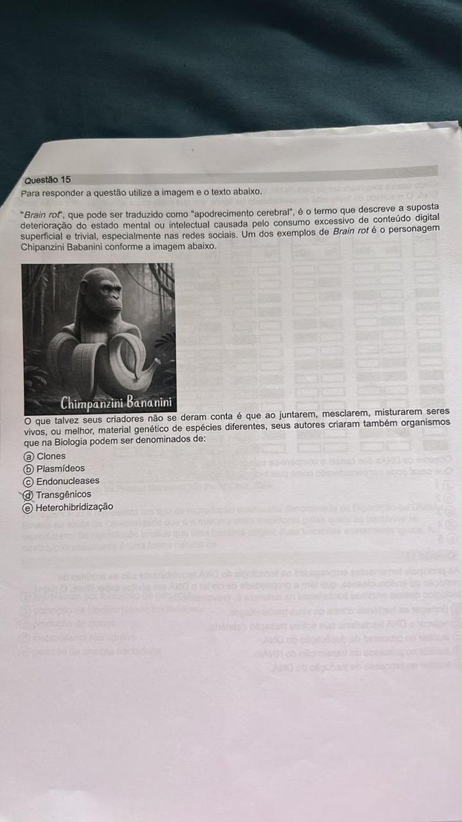 bolinhodeventoo's tweet photo. e minha prova de biologia que trouxe o chimpanzini bananini como exemplo (?) https://t.co/3UJo1R5fUR
