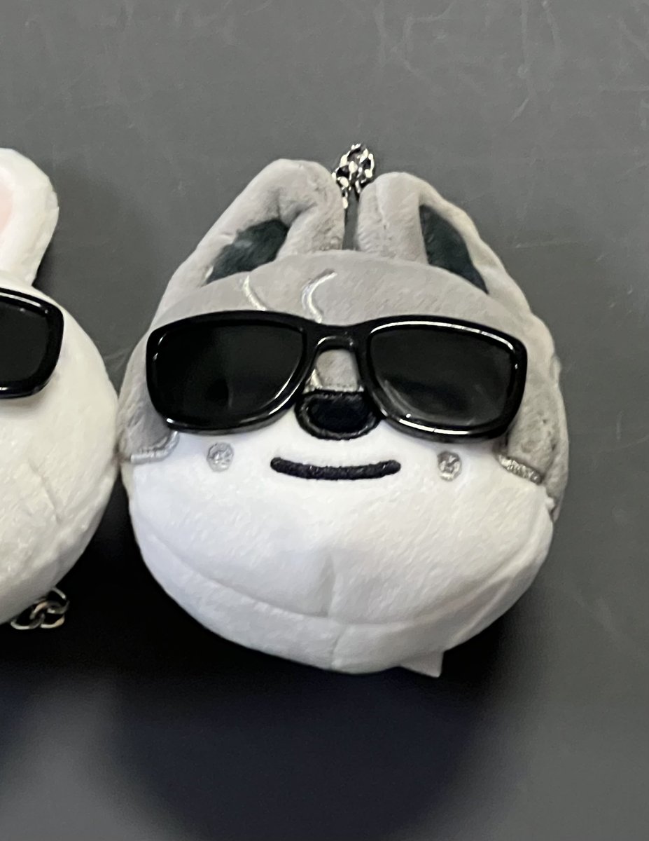 aigo_ya_aigo's tweet photo. StrayKids スキズ　SKZOO POPUP ポップアップ　ランダム フェイスキーリング　交換

譲→ウルフチャン
求→パピーム

都内手渡しでの交換をお願い致します🙇‍♀️ https://t.co/1wR9QpSfqX