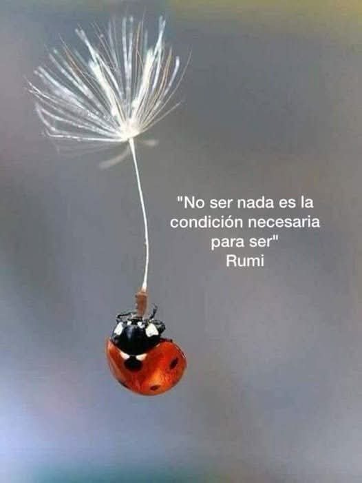 suaVe_teRNuRa's tweet photo. Eres.
Somos.
Soy.
Existimos…
y, al mismo tiempo, somos infinitos.
Quizás no se trata de ser algo,
sino de recordar que, en esencia,
simplemente somos. ✨
El Alma Lo Sabe
✍️©2026 SuaVe TeRNuRa
#SuaveTernura
#ElAlmaLoSabe
#VuelveATi
#LuzInterior
#PazInterior
«No ser nada es la condición necesaria para ser».
— Rumi