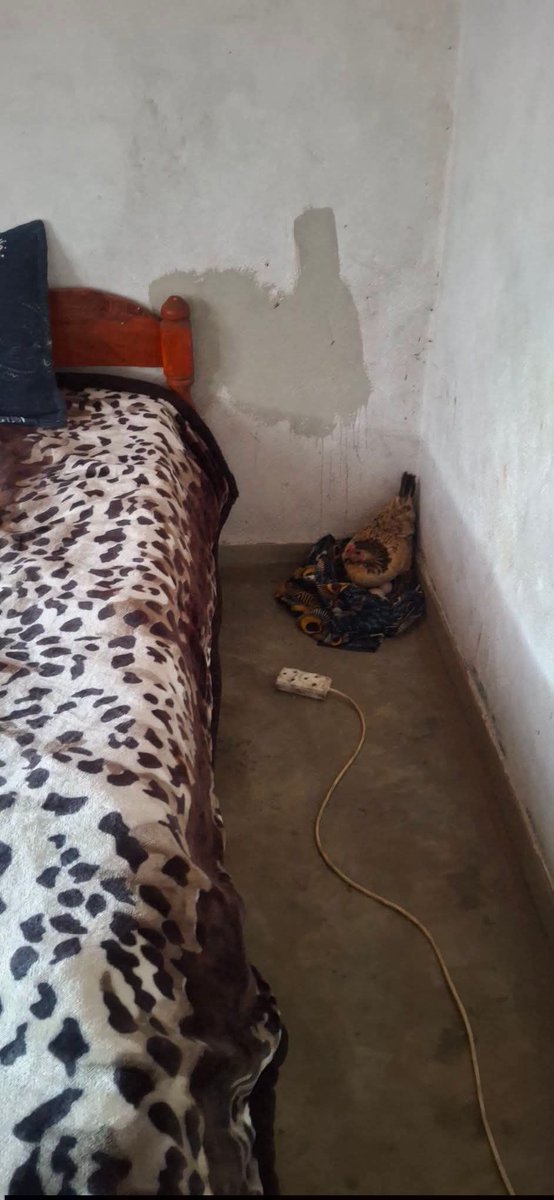 ReaganWanga's tweet photo. And you expect me to video call me https://t.co/Dd7h4HnCh6