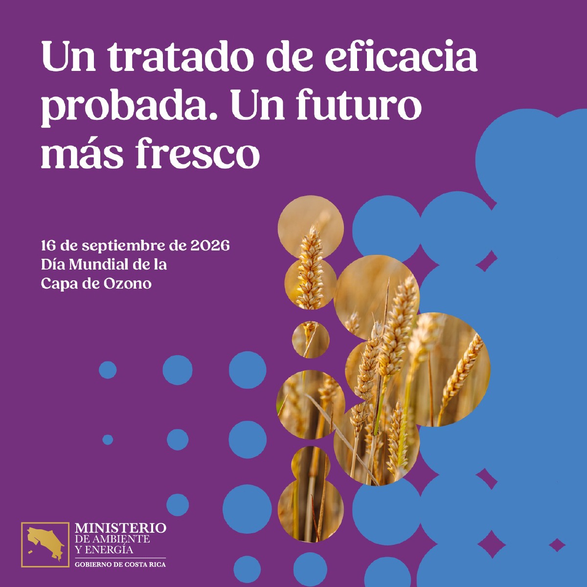 CRMinae's tweet photo. El Día Internacional de la Preservación de la Capa de Ozono bajo el lema "Acción mundial por un planeta menos caliente", enfocado en la refrigeración sostenible y la reducción de hidrofluorocarbonos, mediante la Enmienda de Kigali, es una jornada que se celebra el 16 de setiembre https://t.co/Wt9UNgi9Xh