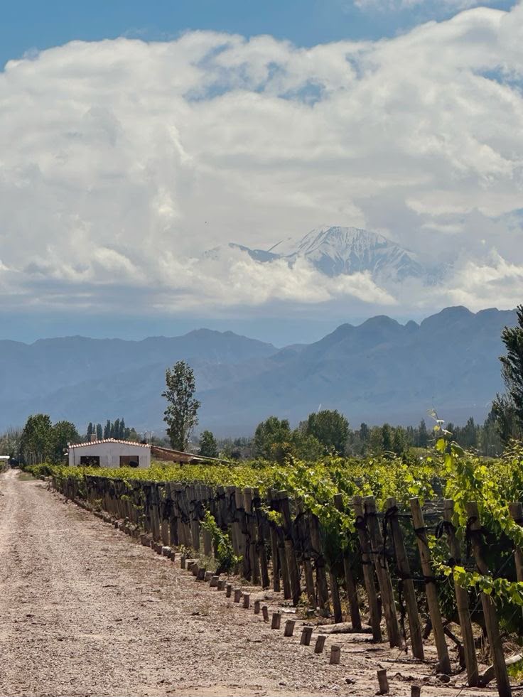 FlightHub's tweet photo. Views for days in Mendoza https://t.co/yYPDmic7O7
