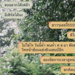 Photo by น้องแชง♡🎞️ (@soncy_int)
