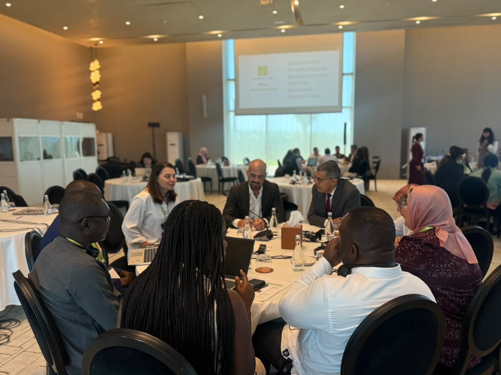 adaptationfund's tweet photo. What can countries learn from recently approved adaptation projects? 

At the Adaptation Fund's National Implementing Entity Seminar in Morocco, NIEs from Kenya, Mexico, Armenia and Costa Rica shared practical lessons from proposal development, revisions, feedback and approval. https://t.co/TZB1gBLNNg