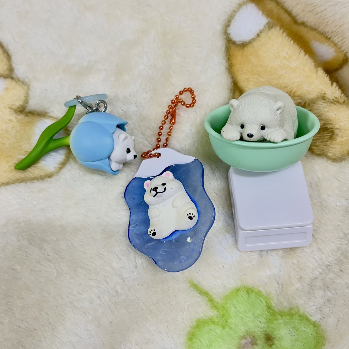 LittleBlue_1983's tweet photo. #LittleBlueDiary
ของฮีลใจเข้าบ้าน 
ฮิมเมลและแก๊งค์หมีขาว🐻‍❄️💙 https://t.co/HNlRoqtjBZ