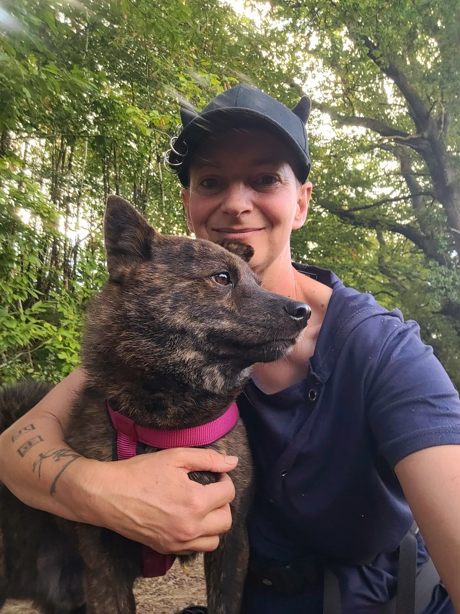 ChanurAkita's tweet photo. En forêt avec Ransu 🐺🌲Vu des traces de chevreuils et sanglier, 1 champignon ça y est ça commence! 😁#甲斐犬 #kai #kaiken #elevageKaiken #kaidog #elevagecanin https://t.co/ruuVz6yvWT
