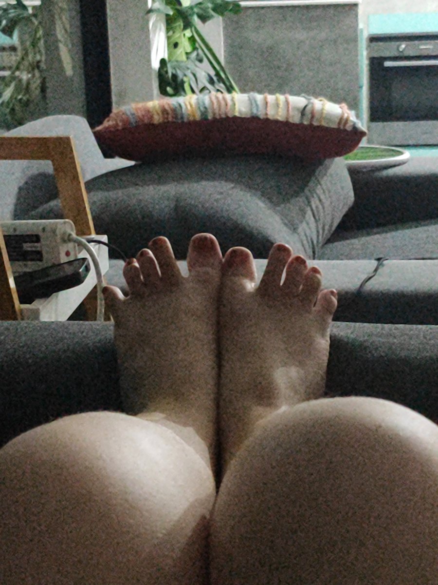 rada_doncheva's tweet photo. Chilling on the couch https://t.co/sOLbirAEDm
