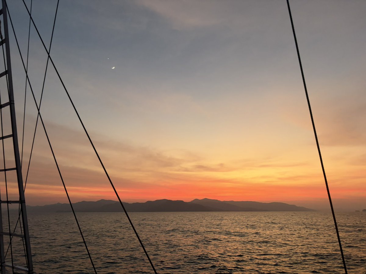 cdti9p's tweet photo. 南国からこんばんは🏝️
ここ1週間船の上で生活をしていたの（旅行で）すが、うっかりウエットスーツを着ていることに油断して顔に日焼け止めを塗り忘れた…
たった30分の油断ですが、あっという間にワントーン日焼けしてしまい、大後悔中のワタクシです…

気を取り直してインナーケアをしっかりと😭 https://t.co/a1UVfglJs0