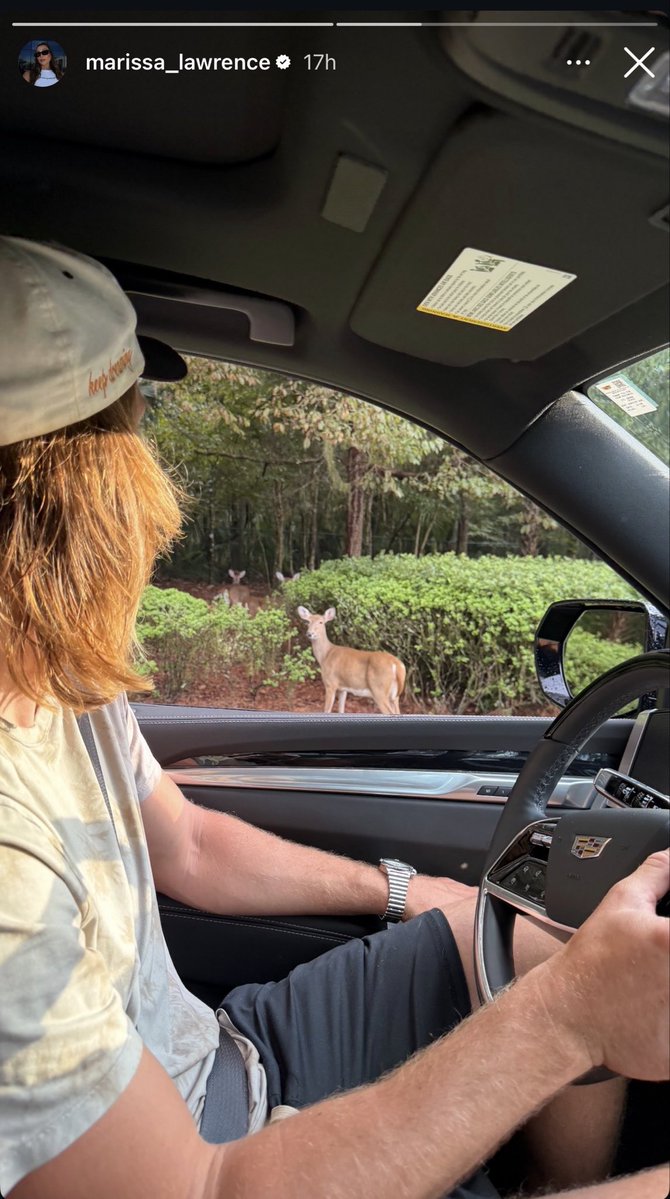 _Raising_Kane_'s tweet photo. Wonder how weird it is for deer to have a goat staring back at ya…. 🤔 #DUUUVAL https://t.co/PkIv6HGi0z