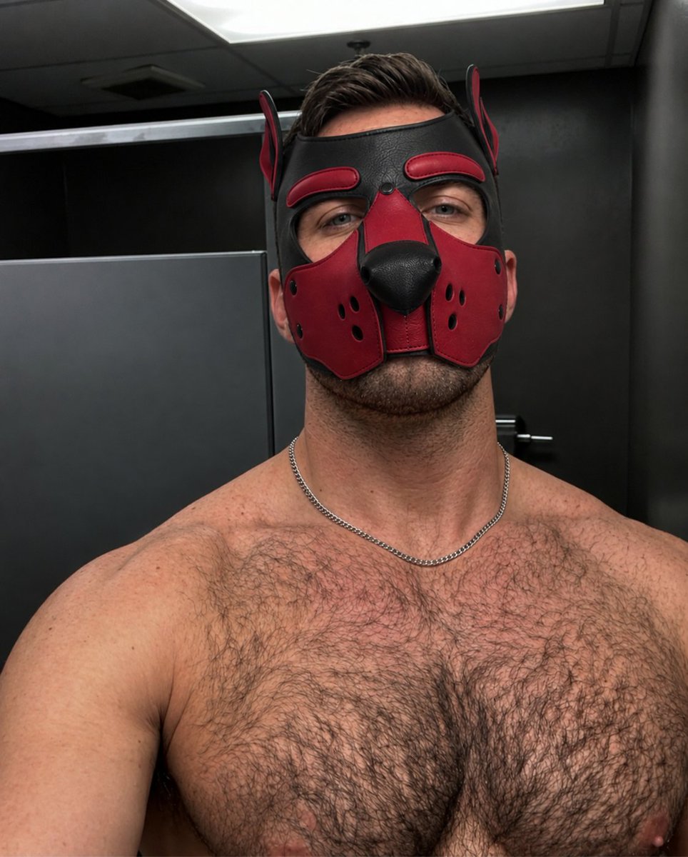 thehunterdawson's tweet photo. Daddy’s in charge 🐾 https://t.co/HRLmxaneFc