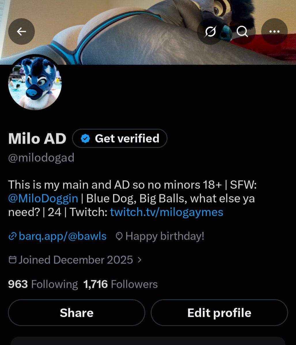 milodogad's tweet photo. Is my birthday. No balloons though 😢 https://t.co/AAOk2r895S