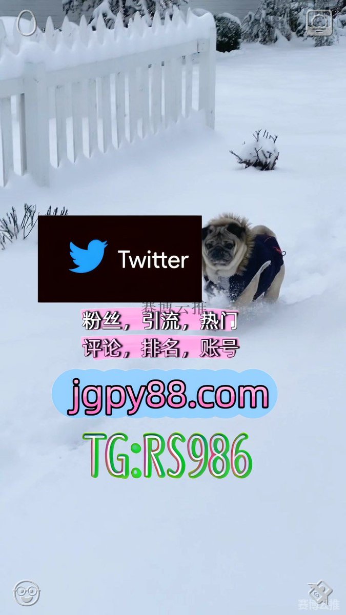 oppaoppakkk's tweet photo. 把每一个平凡清晨都过得温暖有希望⛏
推特账号购买推特脚本 
排名号 推特矩阵管理、营销自动化、内容运营 响水霸屏🪐群发私信💐海外获客🍀
海外流量、品牌推广、社媒营销高唐 注册号
推特账号玉树 多账号管理、批量发帖、内容同步🏢 https://t.co/OMX6bXDZQd