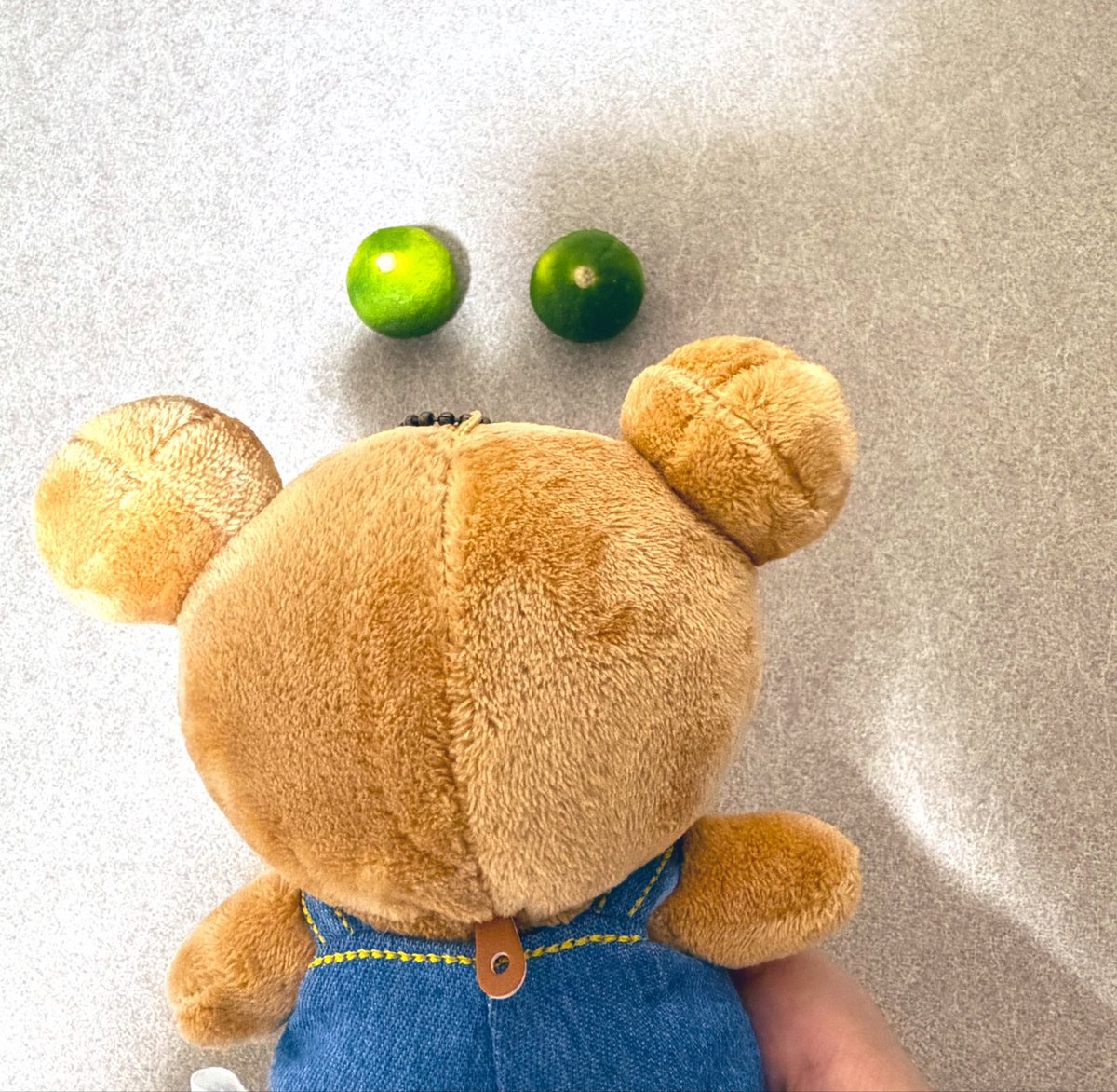 srmmusa's tweet photo. これ　なあに？？
すだちとかかぼすとは違いそう
息子がお友だちからもらったみたい
クマも気になってる🧸 https://t.co/PjaokgugSt