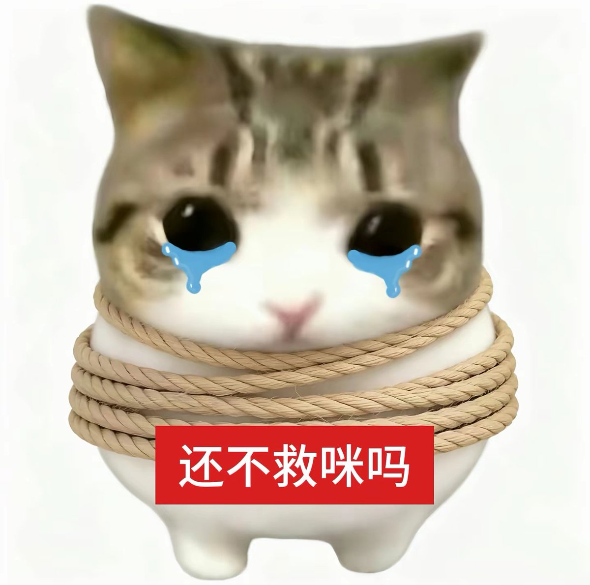 Anjouchu's tweet photo. @Fluttershy7712 be like https://t.co/xKoyjBYifc