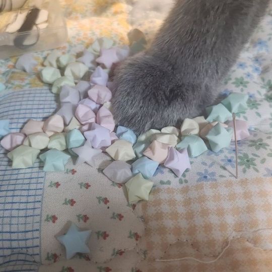 pukodollyy's tweet photo. The aid on how to treat 🫘got taken down again, 
.
.
 I really apologise. I don't want to bore you, but if you would still like the document i'll link it here. https://t.co/lDLER4sB48