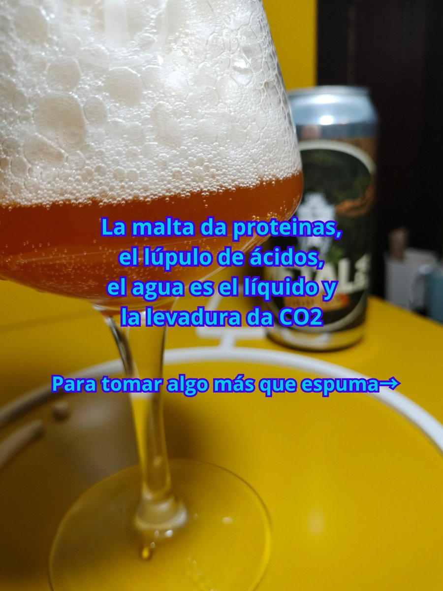 cervecionista's tweet photo. Mi opinión de METAL DDH IPA de @cervezadequi
Una cerveza de color ambar y con mucho gas, pero sin hacer geiser
Predomina el lúpulo por encima de todo con toques a fruta de hueso y cítricos
Maridada con un birriarramen casero, picante y delicioso
#ipa #ddh #birria #ramen https://t.co/I6mIzUNyRs