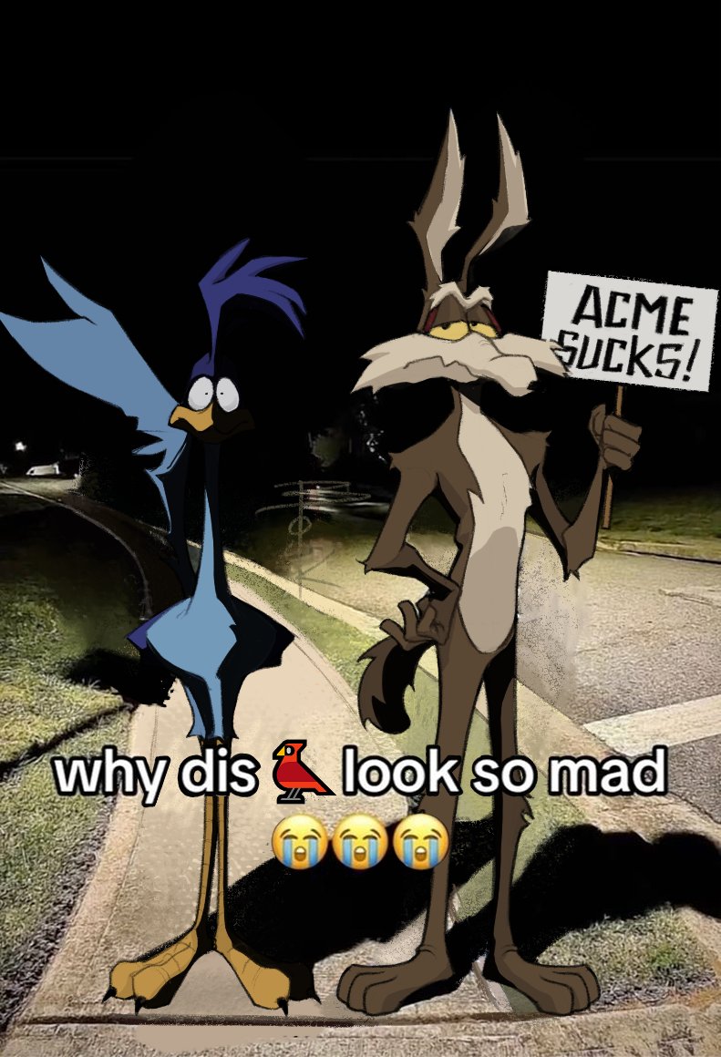 arrbouk's tweet photo. Acme pov
. 
. 
#Coyotevscame #coyote #correcaminos #wilerunner https://t.co/jCOIrFTFku