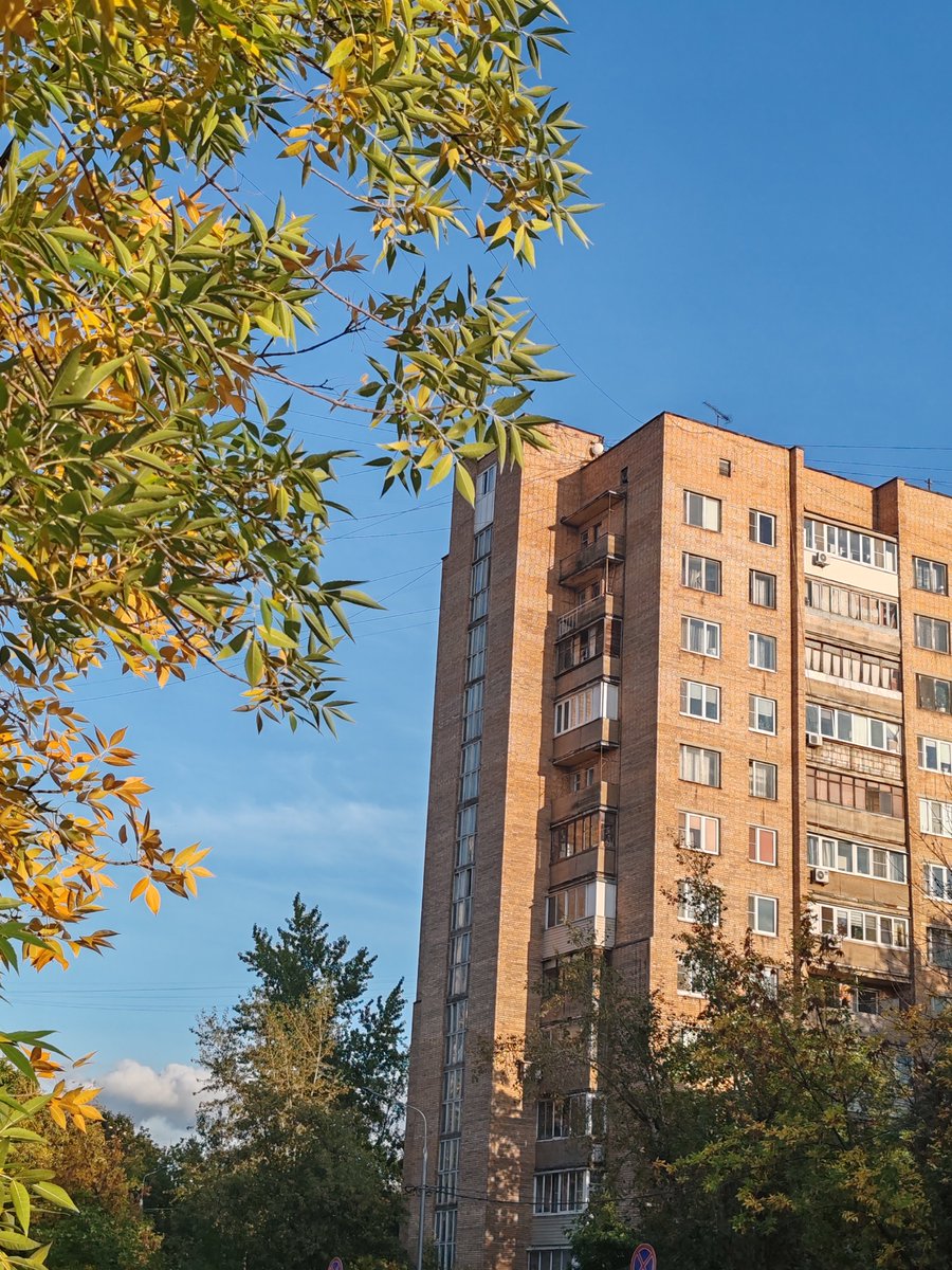 xavierloverr's tweet photo. @sergevna0603 на остановке после работы https://t.co/qxZjAIOxf9