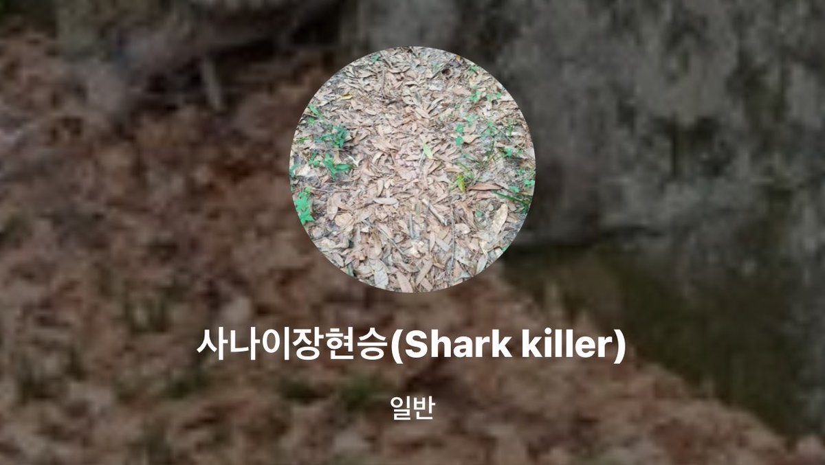 koisxnw's tweet photo. 와어떡해진짜로대화하기싫어짐 https://t.co/xx73KuSBRa
