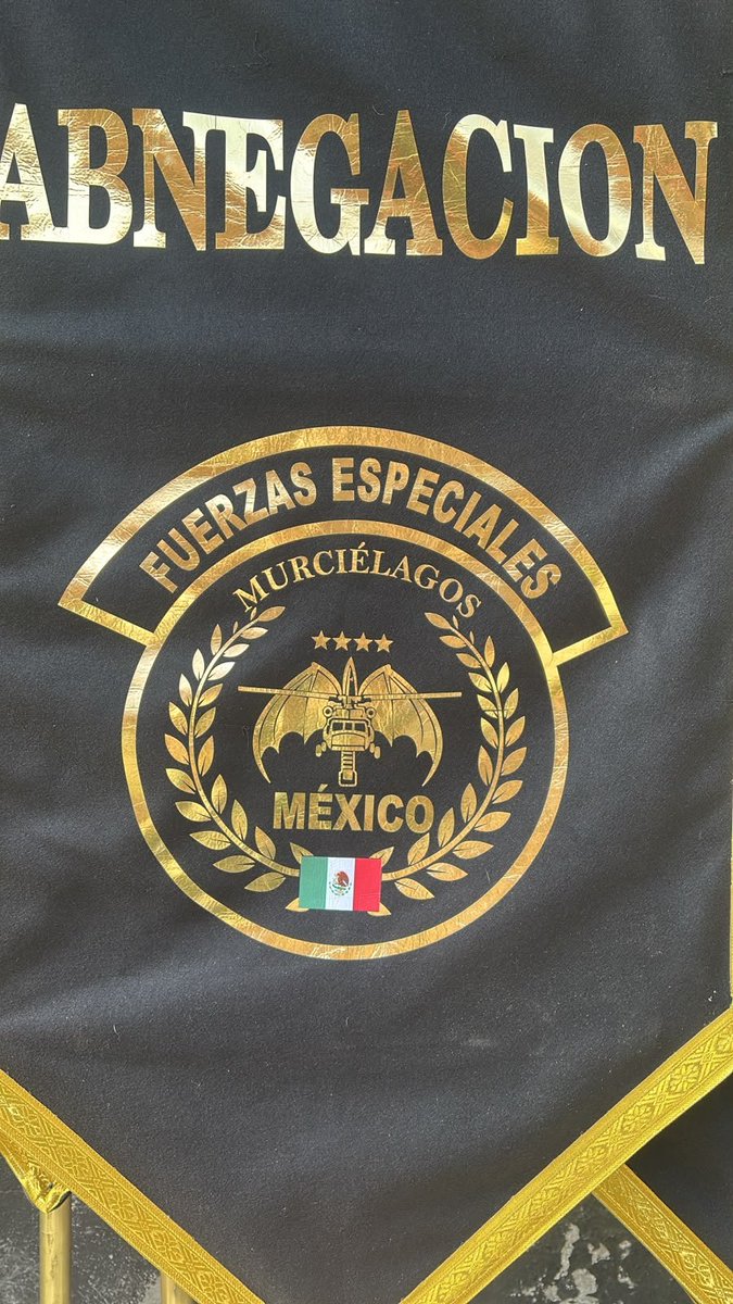 EJTO_FAM_GN's tweet photo. Hoy es el gran día...que Viva México y sus fuerzas armadas de México.
Desfile militar 2026. #EjercitoMexicano #DesfileMilitar
#FuerzasEspeciales. https://t.co/HPgzwEKboN
