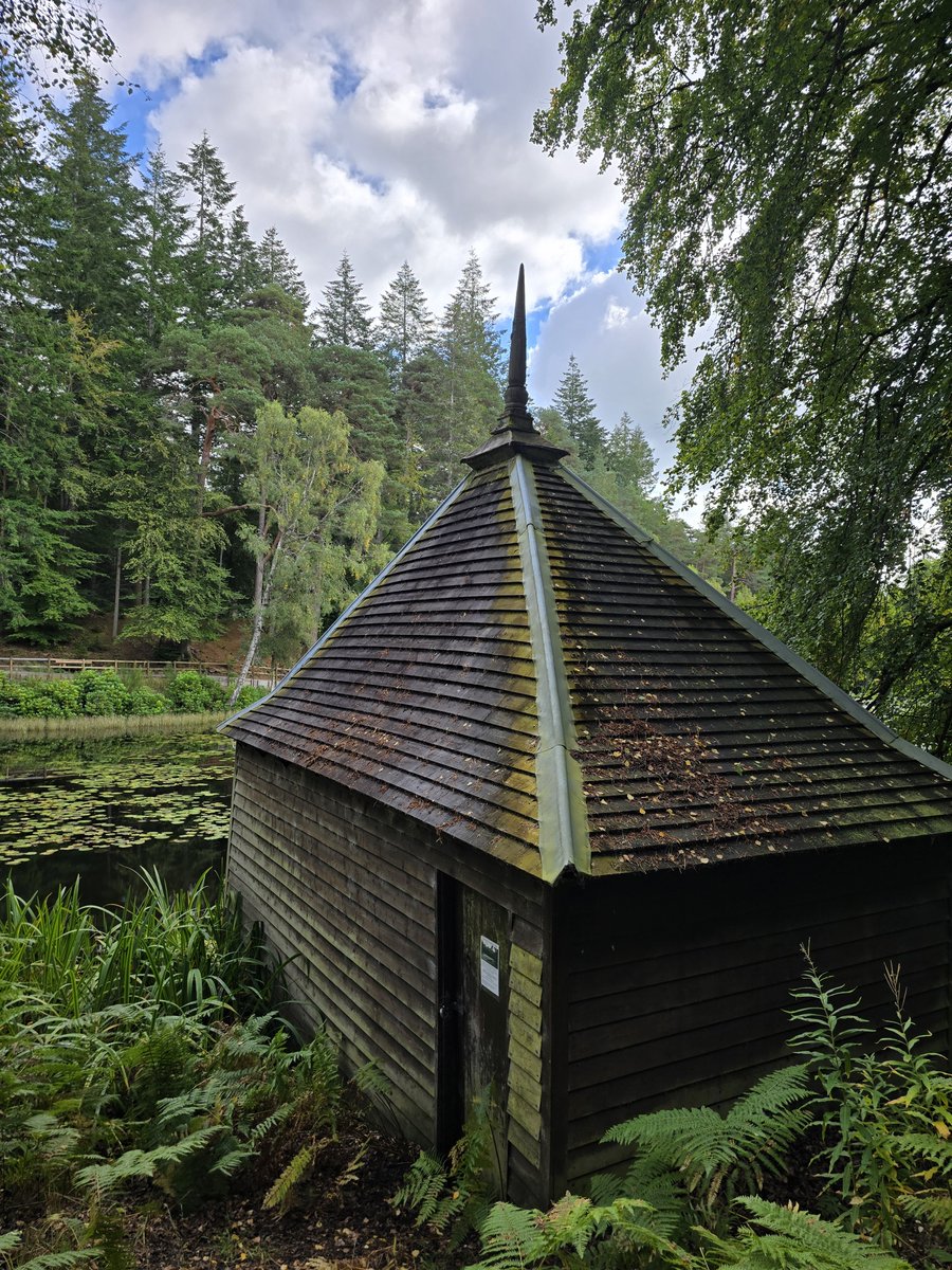 SylvanaPilidou's tweet photo. #Faskally #lake π΄σ §σ ’σ ³σ £σ ΄σ Ώ
#LochFaskally https://t.co/lMQ0R1jcCy