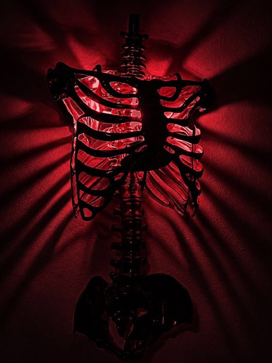 evergreenhues's tweet photo. home decor skeletal wall lamp https://t.co/YGeEWvgICd