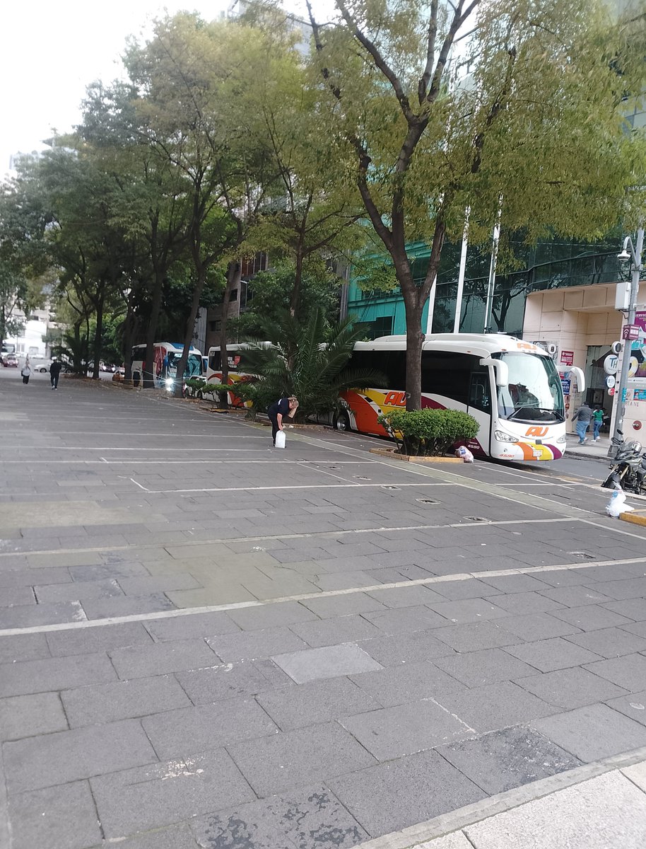 RicardoAlemanMx's tweet photo. La tarde del 15 de septiembre caminé por el centro de la CDMX y ésto es lo que vi: Miles de acarreados!
Por eso, en la noche El Grito fue aplaudido! 
Hagan cuentas; 500 pesos por cada asistente al Zócalo!
Nuestros impuestos trabajan! https://t.co/AuaYGGAFOL