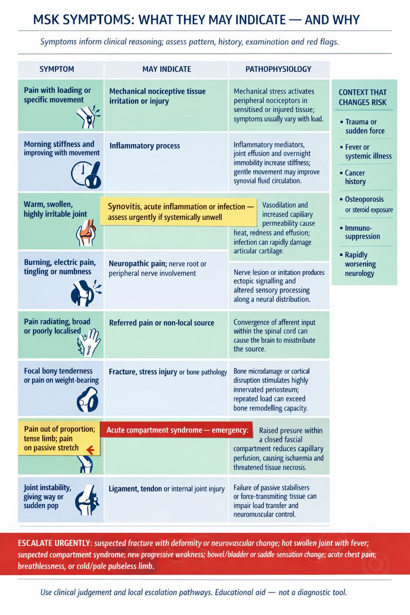 Phys_io_tutor's tweet photo. Spotting MSK clues made simple 👀➡️🦴
Learning board that links symptoms (pain pattern, stiffness, weakness, referral) to likely tissues and tests. Perfect for quick study sessions and ward prep.
#PhysioStudents #MSK #VisualLearning #Physiotherapy #ClinicalReasoning https://t.co/5IZgEpMqjy