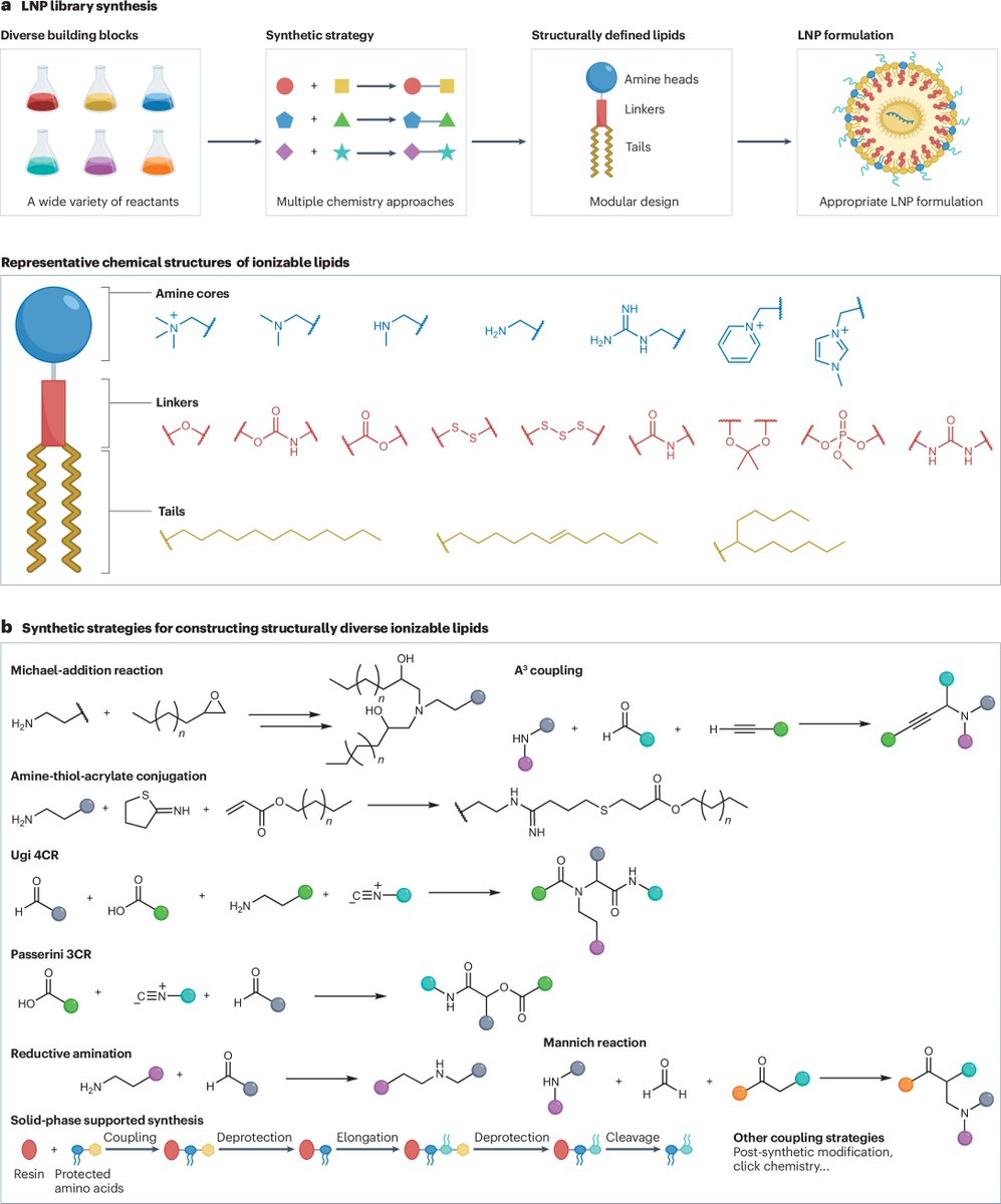 MJMitchell_Lab tweet picture