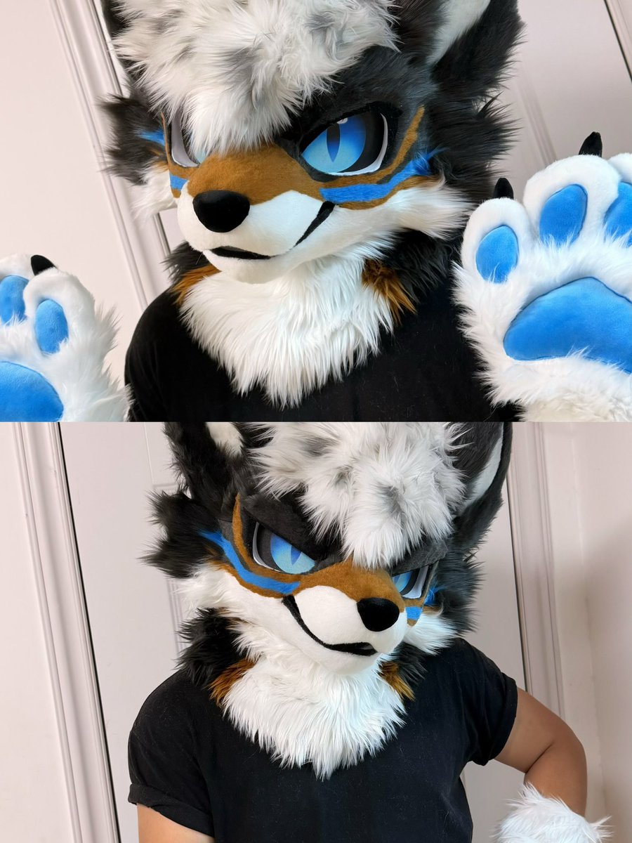 GinwineGin's tweet photo. Waving at all of you furry friends! Tag a friend who would love this design✨

#TripleGin #fursuit #furry https://t.co/SK6e2h506a