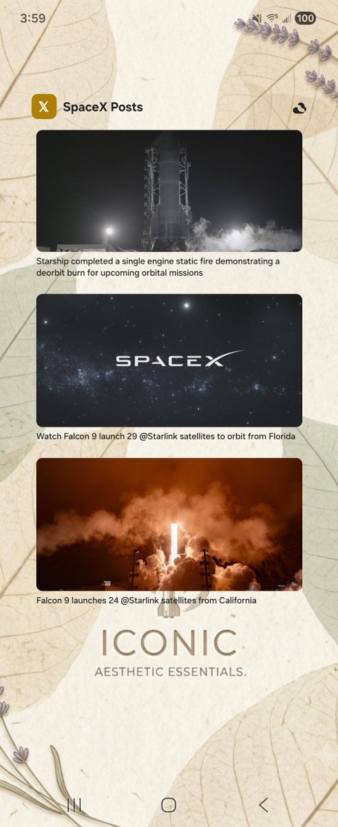Cosmic_Baddie_'s tweet photo. @JaneidyEve @elonmusk so ICONIC ✨️ https://t.co/C3bzIiZgcg