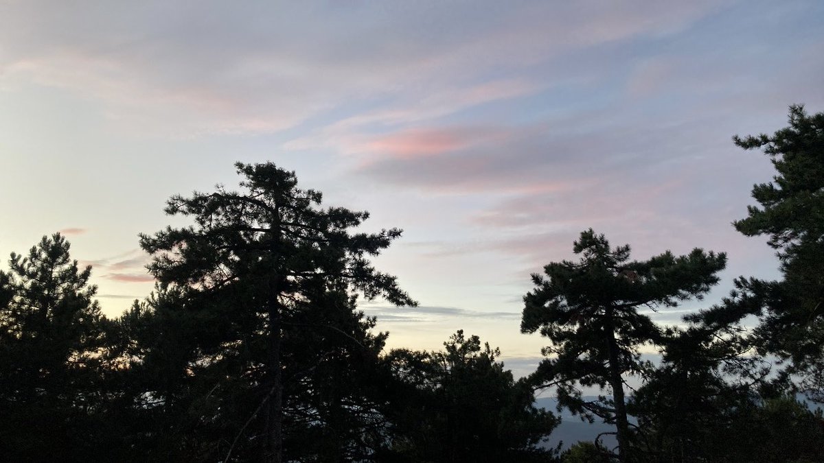 aayberna's tweet photo. merhaba dünya ne kadar aydınlıkmışsın 🍃🫰🏻✨ https://t.co/oXaguGMQyU