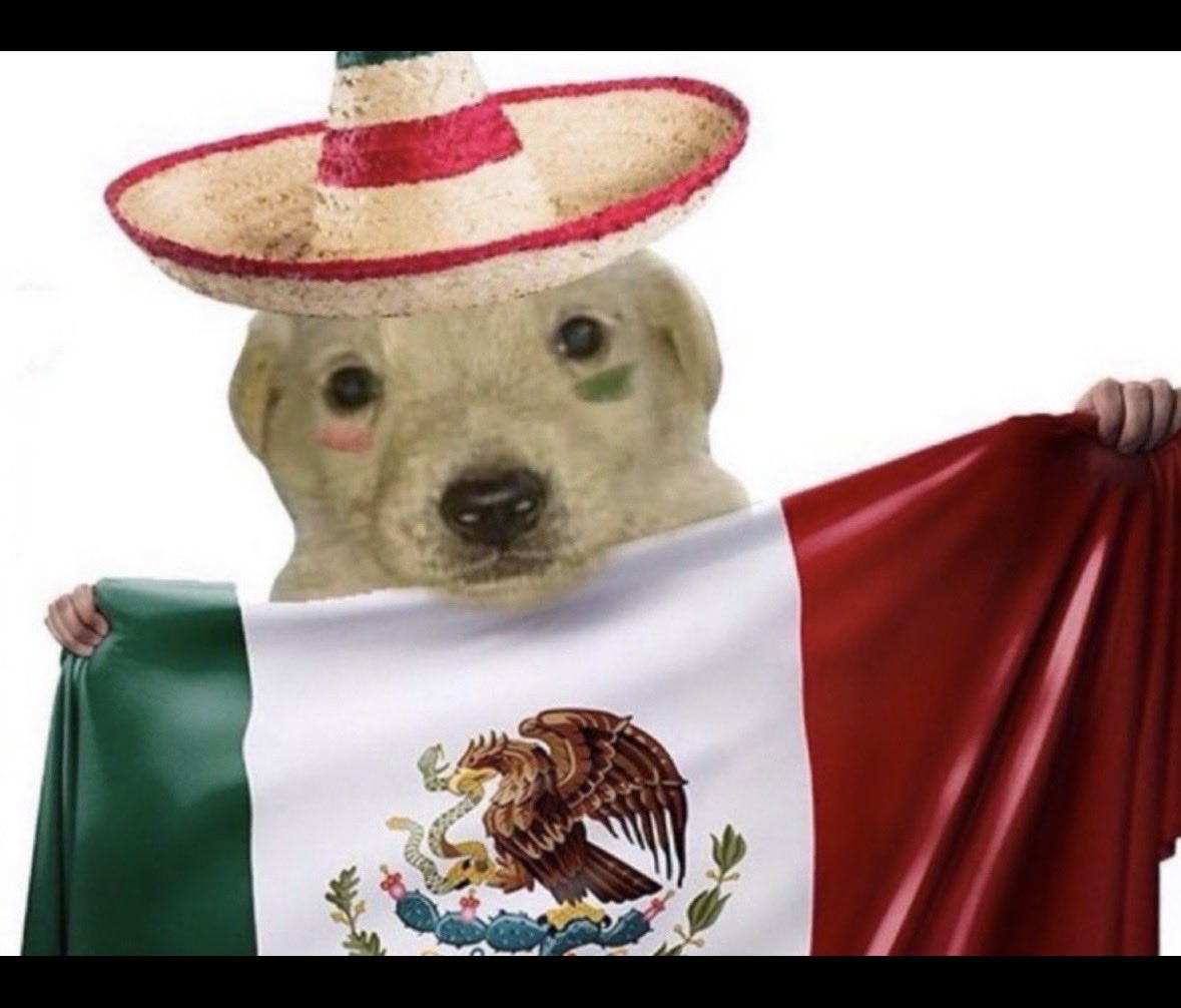 godwithalittleg's tweet photo. happy mexican independence day to all my mexicans, be kind to your local mexican https://t.co/WtqdH4fgVQ