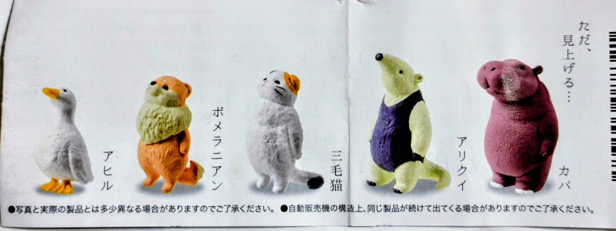 anone_smile's tweet photo. ポメラニアンか三毛猫が良かったのに😞
#ガチャ https://t.co/8REsD40ORH