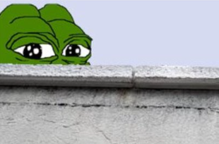 _Adolfniggler_'s tweet photo. @KingFlokstra GM fren https://t.co/nenvsrdC5c