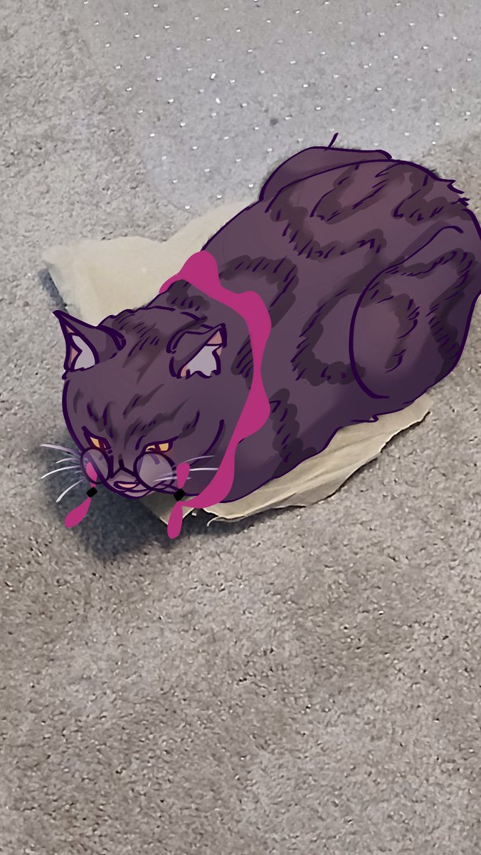 nartothelar's tweet photo. kitty! 🐈‍⬛💜 https://t.co/c9FHC6zH1r