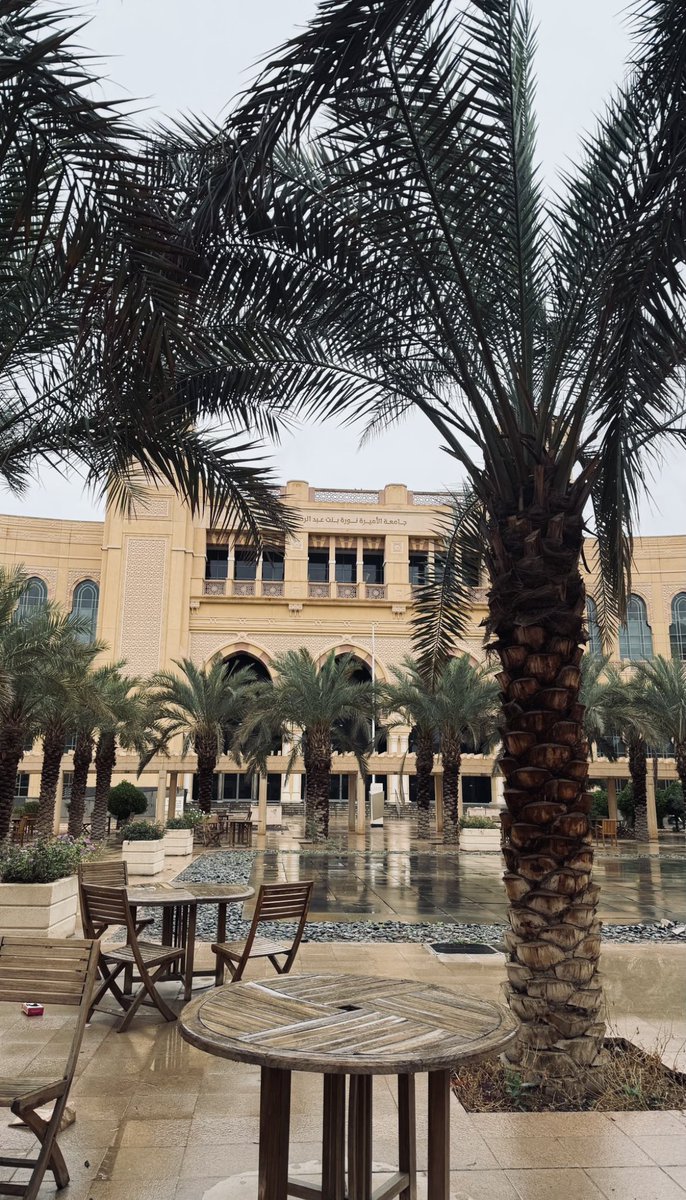 princessllmo's tweet photo. #pnu 🔝 https://t.co/vt84pIjNpS